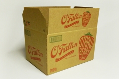 Basic Kraft RSC Shipper in 2 colors with bar code and diecut hand holes.